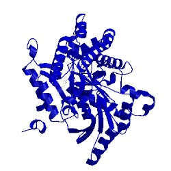 Image of CATH 1iay