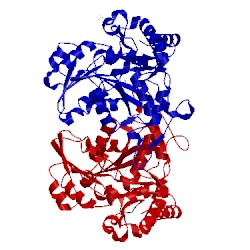 Image of CATH 1ibj