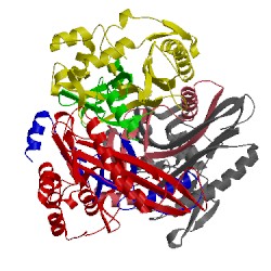 Image of CATH 1ibt