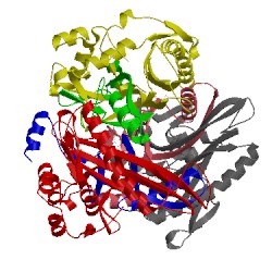 Image of CATH 1ibv