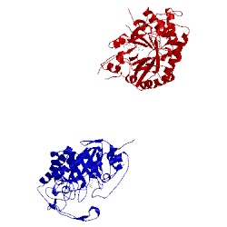 Image of CATH 1ics