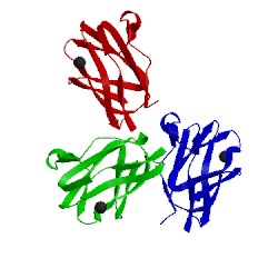 Image of CATH 1id2