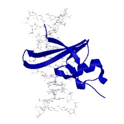 Image of CATH 1ig4