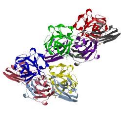 Image of CATH 1ii4