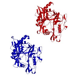 Image of CATH 1iic