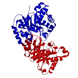 Image of CATH 1iih