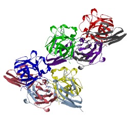 Image of CATH 1iil