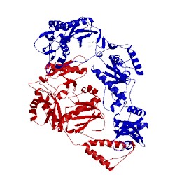 Image of CATH 1ikx