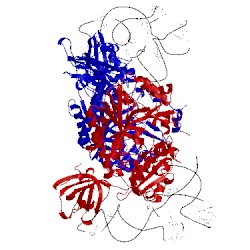 Image of CATH 1il2