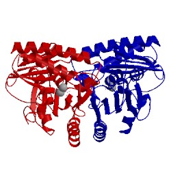 Image of CATH 1imd