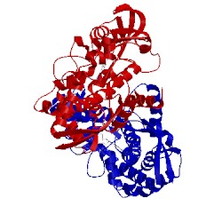 Image of CATH 1io9