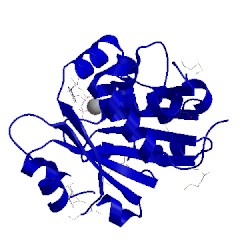 Image of CATH 1ion