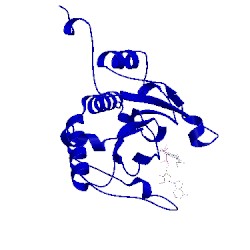 Image of CATH 1ipb