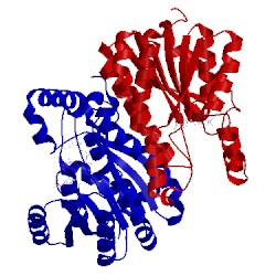 Image of CATH 1ipe