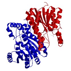 Image of CATH 1ipf