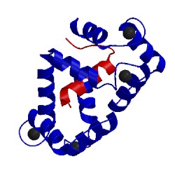 Image of CATH 1iq5