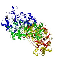 Image of CATH 1iqc