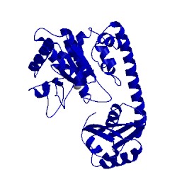 Image of CATH 1ir6