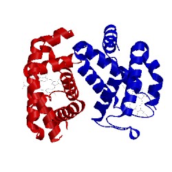 Image of CATH 1ird