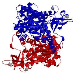 Image of CATH 1irx