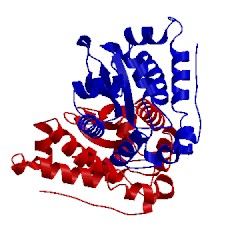 Image of CATH 1isc