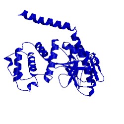 Image of CATH 1isn