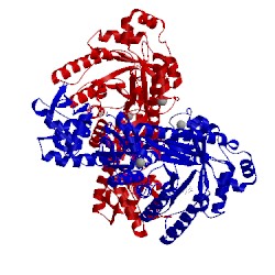 Image of CATH 1it8