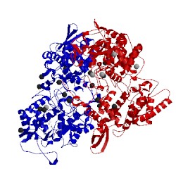 Image of CATH 1itk