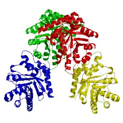 Image of CATH 1ixn