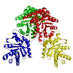 Image of CATH 1ixo