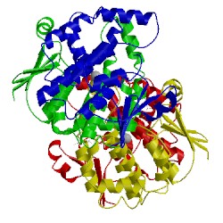 Image of CATH 1iyh