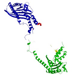 Image of CATH 1izn