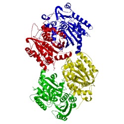 Image of CATH 1j0c