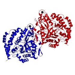 Image of CATH 1j1n