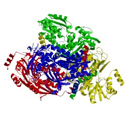 Image of CATH 1j20