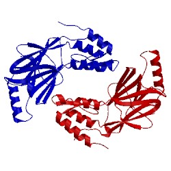 Image of CATH 1j2f