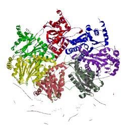 Image of CATH 1j2q