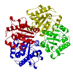 Image of CATH 1j2r