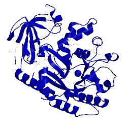 Image of CATH 1j6p