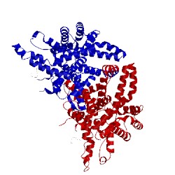 Image of CATH 1j78