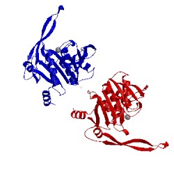 Image of CATH 1j9j