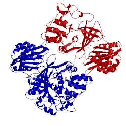 Image of CATH 1ja0