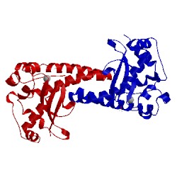 Image of CATH 1ja8