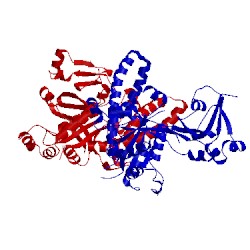 Image of CATH 1jal