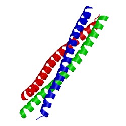 Image of CATH 1jcd