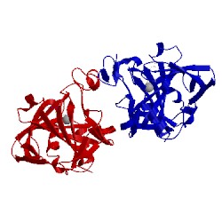Image of CATH 1jd0