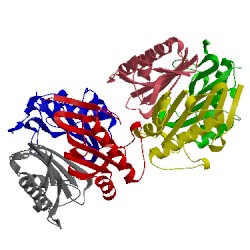 Image of CATH 1jd1