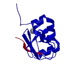 Image of CATH 1jd5