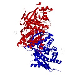 Image of CATH 1jdp