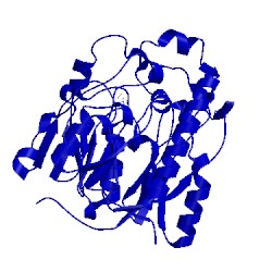 Image of CATH 1jdx